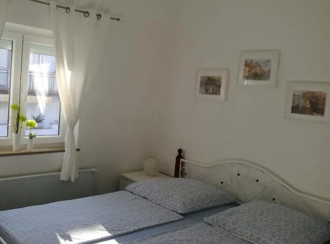 Bozena 5 아파트 브르사르